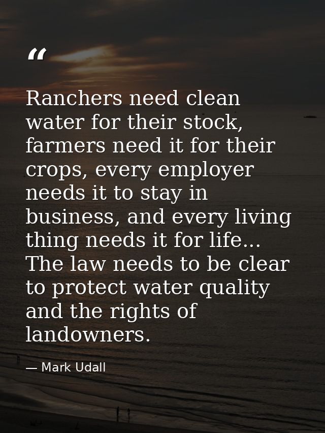 Ranchers need clean water for their stock, farmers need it for their crops, every employer needs it to stay in business, — Mark Udall