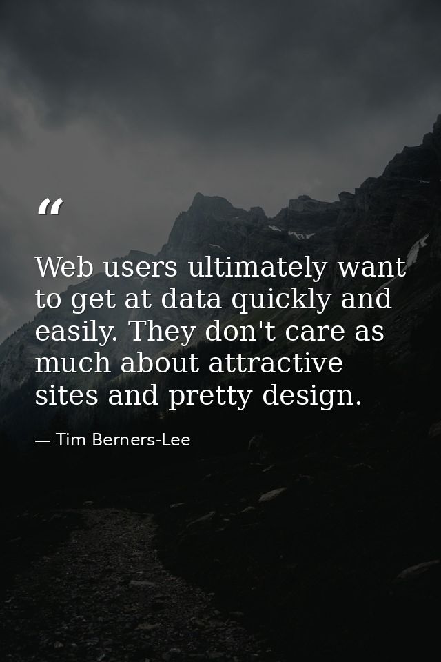 Web users ultimately want to get at data quickly and easily. They don't care as much about attractive sites and pretty d — Tim Berners-Lee