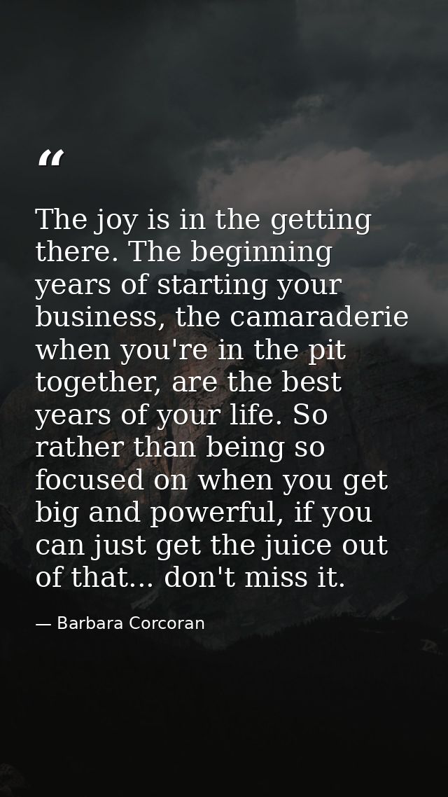 The joy is in the getting there. The beginning years of starting your business, the camaraderie when you're in the pit t — Barbara Corcoran