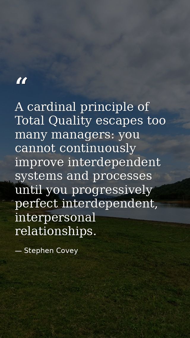 A cardinal principle of Total Quality escapes too many managers: you cannot continuously improve interdependent systems  — Stephen Covey