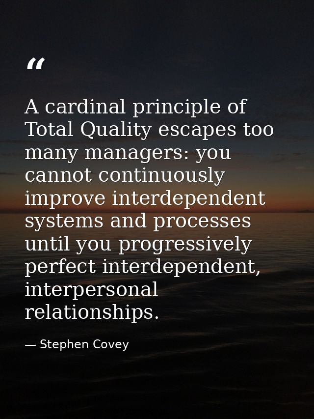 A cardinal principle of Total Quality escapes too many managers: you cannot continuously improve interdependent systems  — Stephen Covey