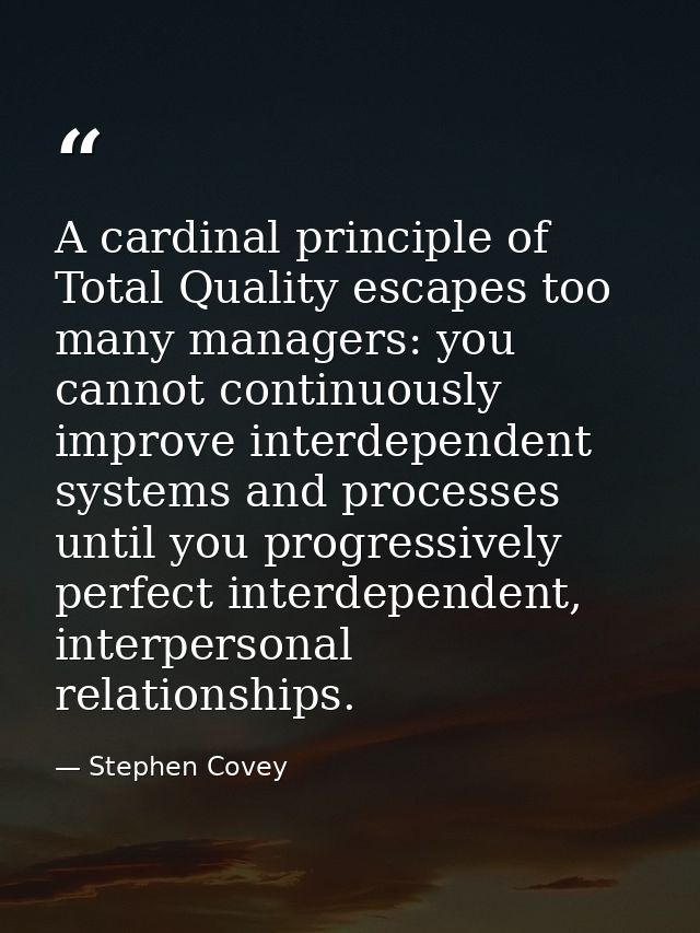 A cardinal principle of Total Quality escapes too many managers: you cannot continuously improve interdependent systems  — Stephen Covey