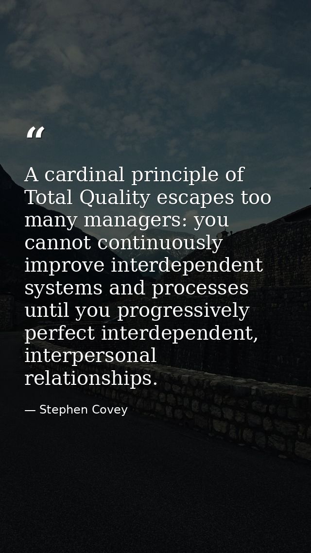 A cardinal principle of Total Quality escapes too many managers: you cannot continuously improve interdependent systems  — Stephen Covey