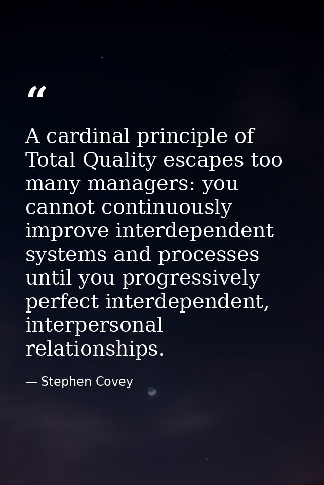 A cardinal principle of Total Quality escapes too many managers: you cannot continuously improve interdependent systems  — Stephen Covey