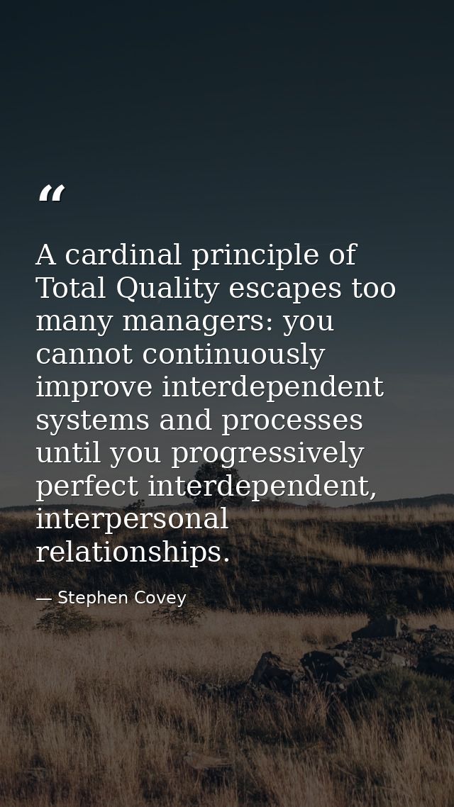 A cardinal principle of Total Quality escapes too many managers: you cannot continuously improve interdependent systems  — Stephen Covey