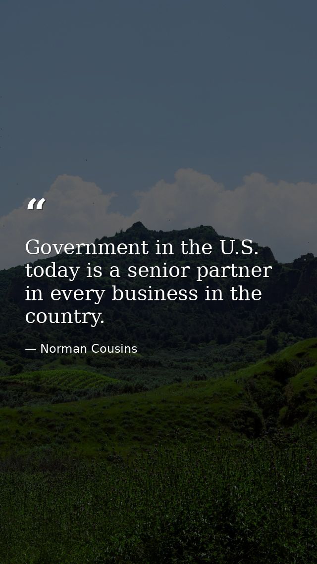 Government in the U.S. today is a senior partner in every business in the country. — Norman Cousins
