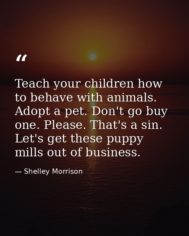 Teach your children how to behave with animals. Adopt a pet. Don't go buy one. Please. That's a sin. Let's get these pup — Shelley Morrison