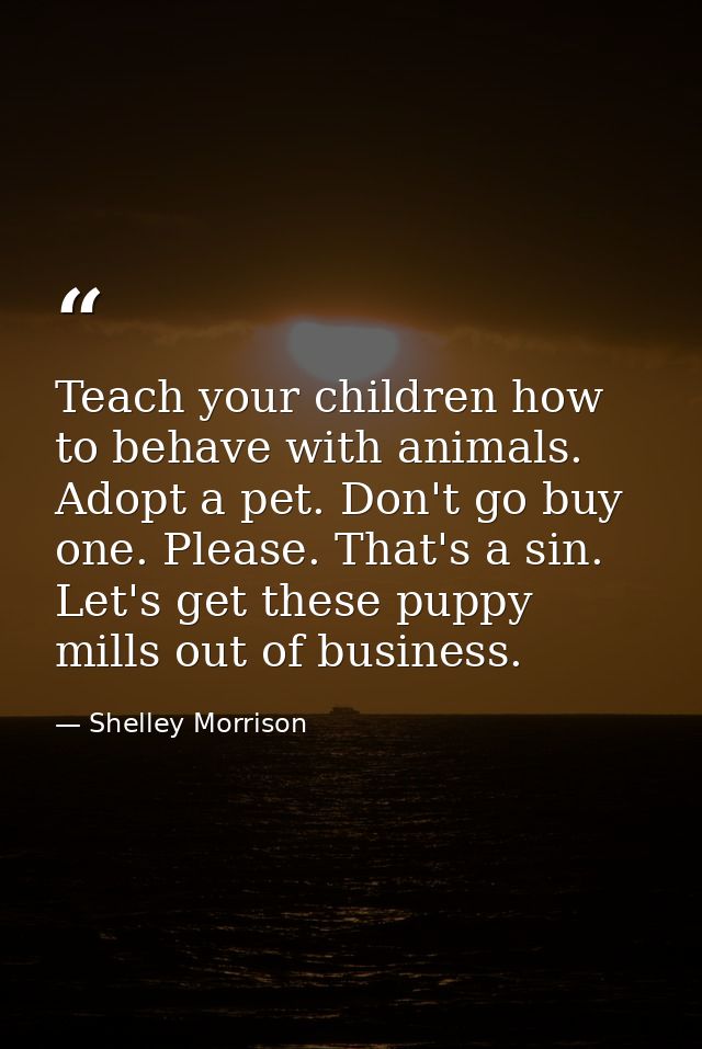 Teach your children how to behave with animals. Adopt a pet. Don't go buy one. Please. That's a sin. Let's get these pup — Shelley Morrison