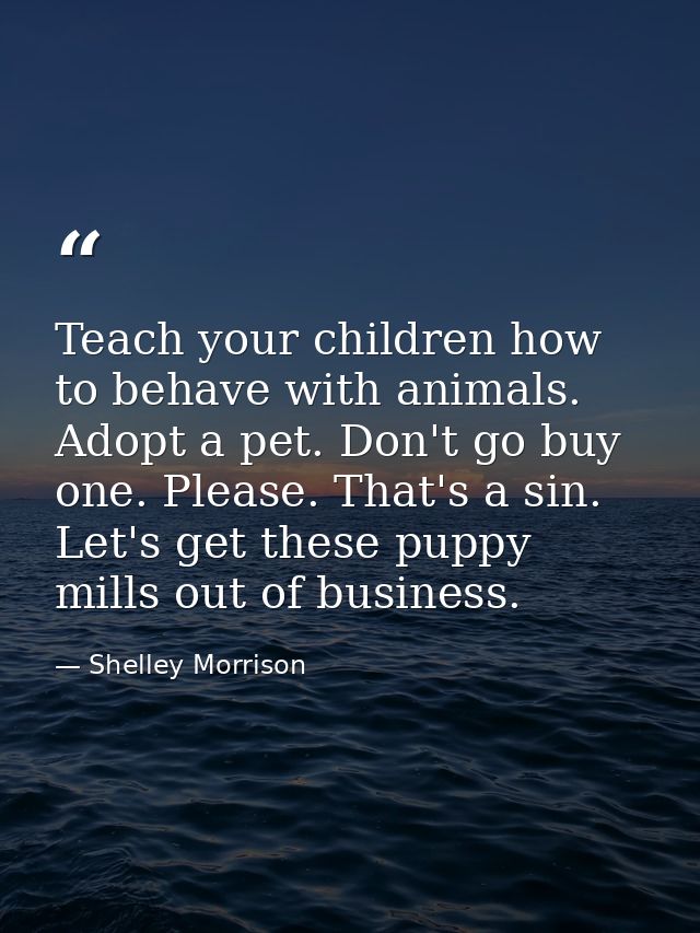 Teach your children how to behave with animals. Adopt a pet. Don't go buy one. Please. That's a sin. Let's get these pup — Shelley Morrison