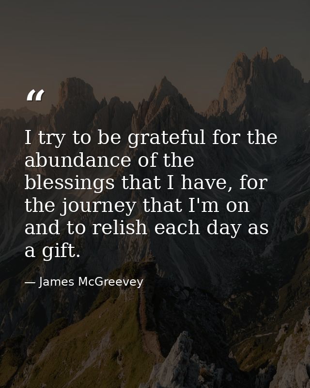 I try to be grateful for the abundance of the blessings that I have, for the journey that I'm on and to relish each day  — James McGreevey
