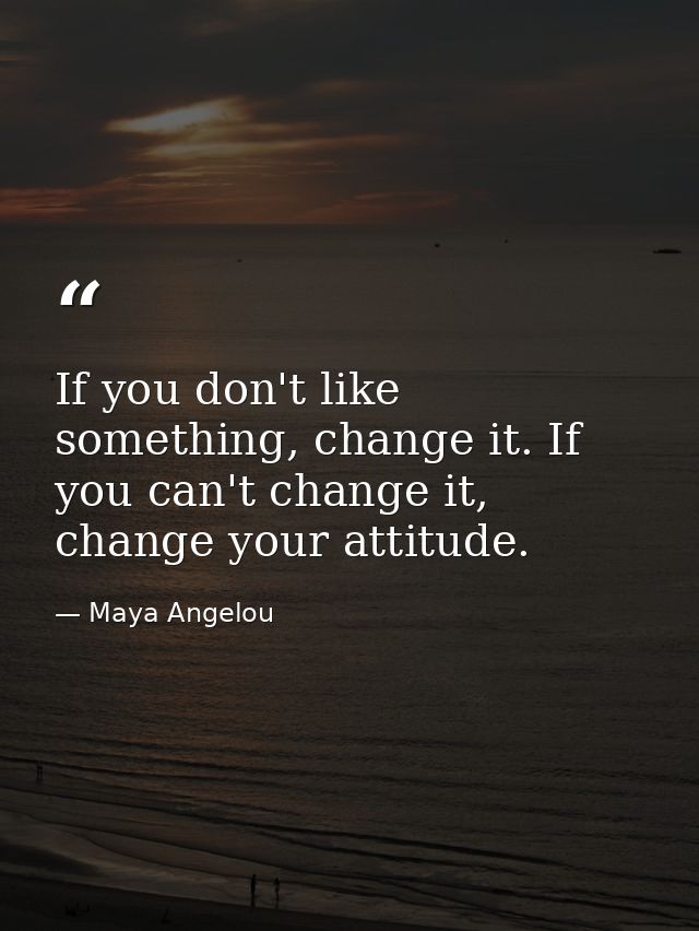 If you don't like something, change it. If you can't change it, change your attitude. — Maya Angelou