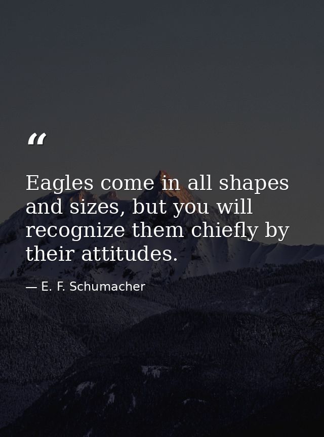 Eagles come in all shapes and sizes, but you will recognize them chiefly by their attitudes. — E. F. Schumacher
