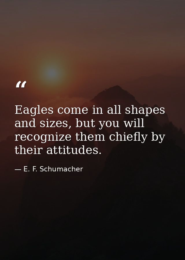Eagles come in all shapes and sizes, but you will recognize them chiefly by their attitudes. — E. F. Schumacher