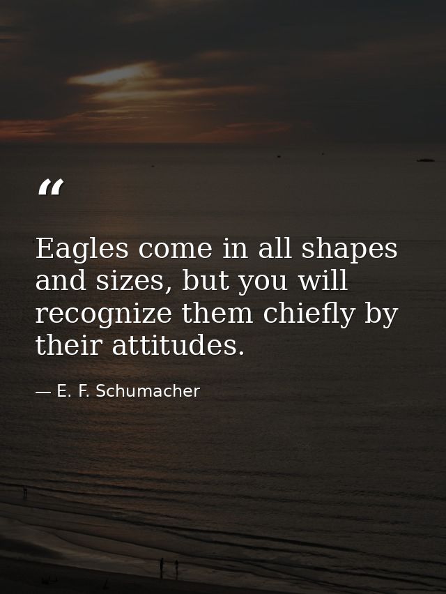 Eagles come in all shapes and sizes, but you will recognize them chiefly by their attitudes. — E. F. Schumacher