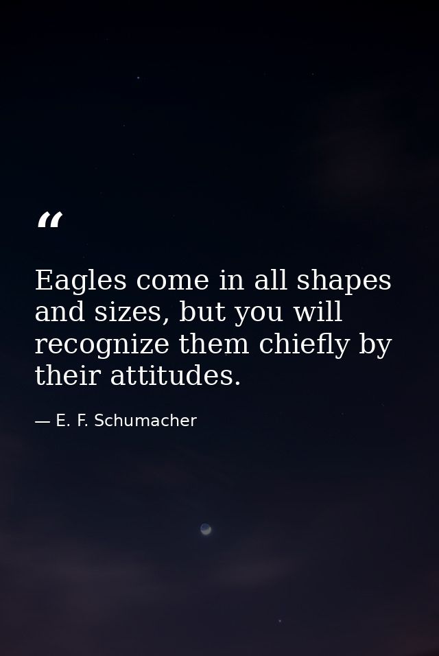 Eagles come in all shapes and sizes, but you will recognize them chiefly by their attitudes. — E. F. Schumacher