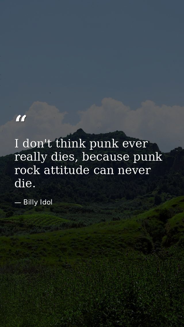 I don't think punk ever really dies, because punk rock attitude can never die. — Billy Idol