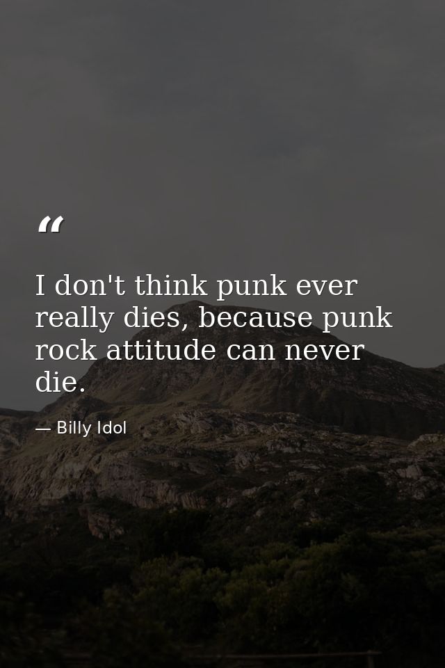 I don't think punk ever really dies, because punk rock attitude can never die. — Billy Idol