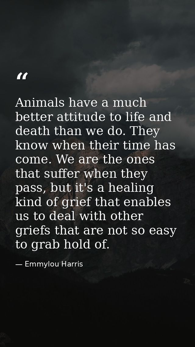 Animals have a much better attitude to life and death than we do. They know when their time has come. We are the ones th — Emmylou Harris