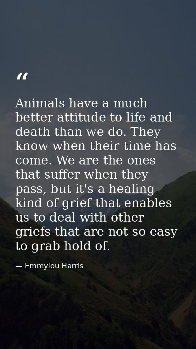 Animals have a much better attitude to life and death than we do. They know when their time has come. We are the ones th — Emmylou Harris