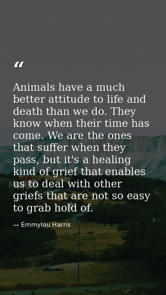 Animals have a much better attitude to life and death than we do. They know when their time has come. We are the ones th — Emmylou Harris