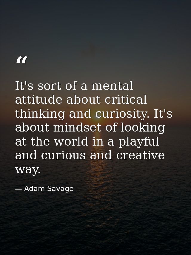 It's sort of a mental attitude about critical thinking and curiosity. It's about mindset of looking at the world in a pl — Adam Savage