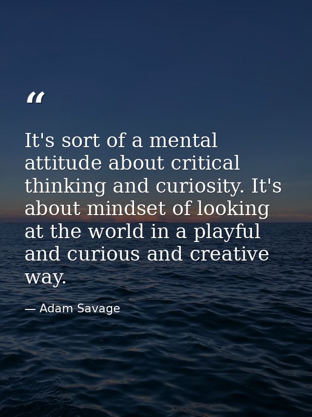 It's sort of a mental attitude about critical thinking and curiosity. It's about mindset of looking at the world in a pl — Adam Savage