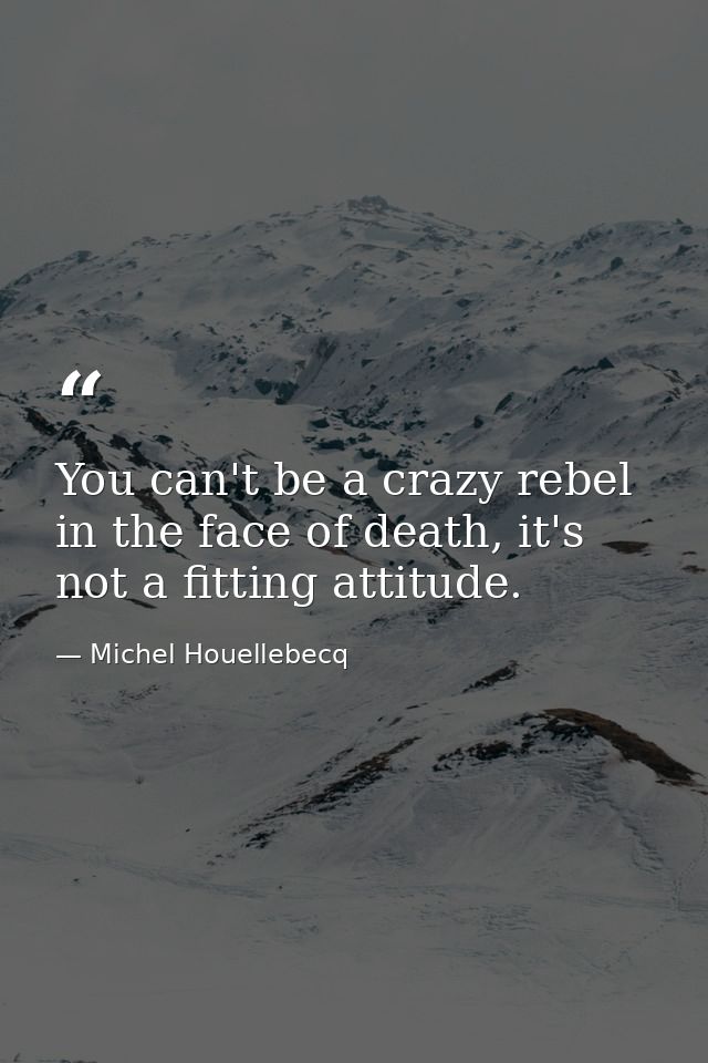 You can't be a crazy rebel in the face of death, it's not a fitting attitude. — Michel Houellebecq
