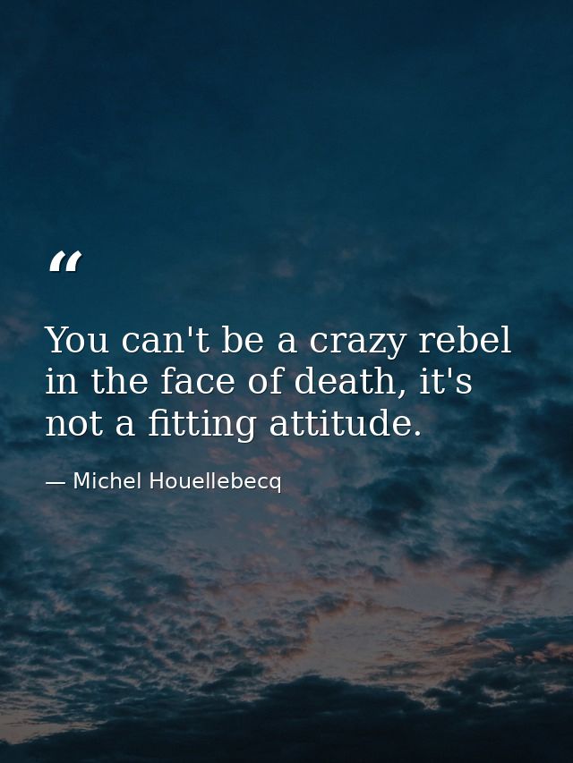 You can't be a crazy rebel in the face of death, it's not a fitting attitude. — Michel Houellebecq