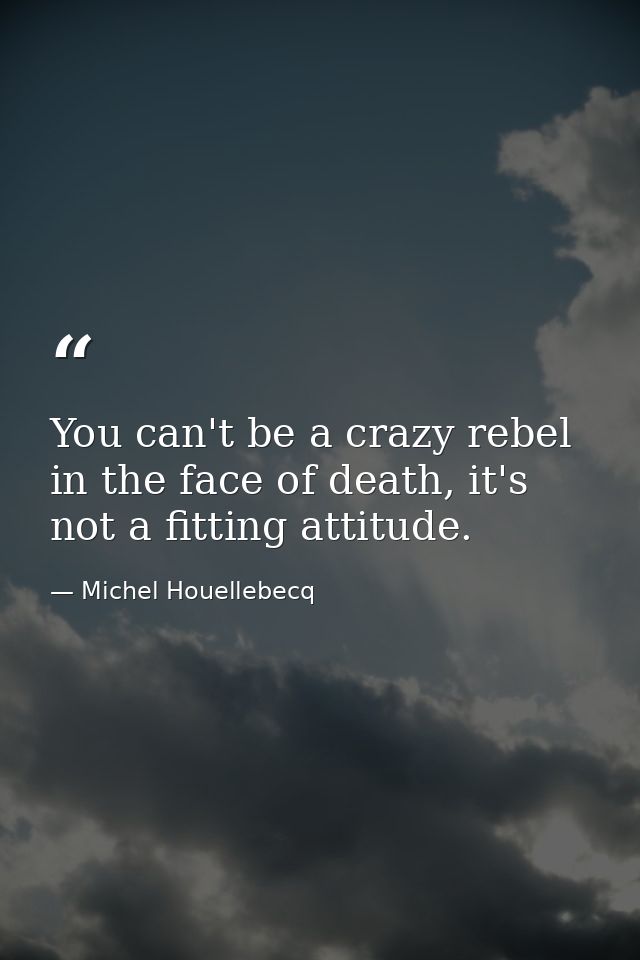 You can't be a crazy rebel in the face of death, it's not a fitting attitude. — Michel Houellebecq