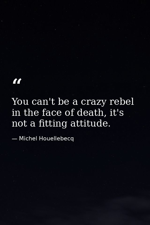 You can't be a crazy rebel in the face of death, it's not a fitting attitude. — Michel Houellebecq