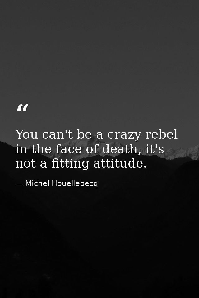 You can't be a crazy rebel in the face of death, it's not a fitting attitude. — Michel Houellebecq