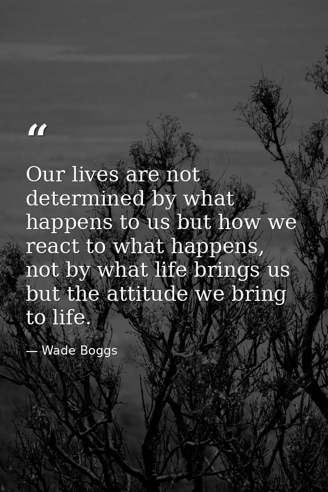 Our lives are not determined by what happens to us but how we react to what happens, not by what life brings us but the  — Wade Boggs