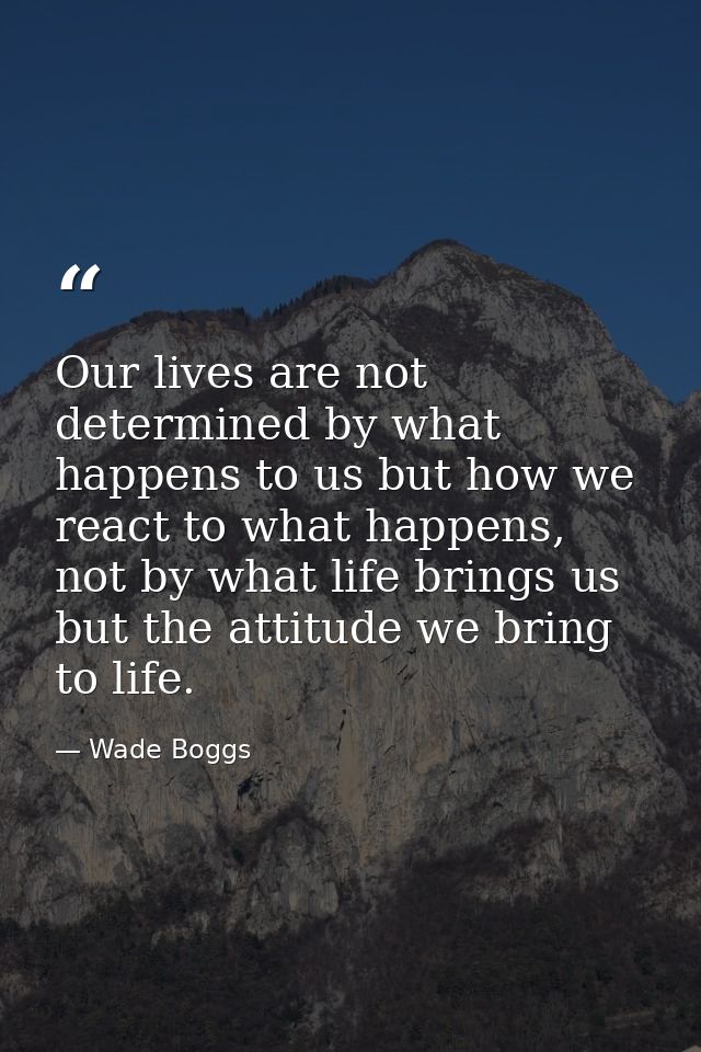 Our lives are not determined by what happens to us but how we react to what happens, not by what life brings us but the  — Wade Boggs