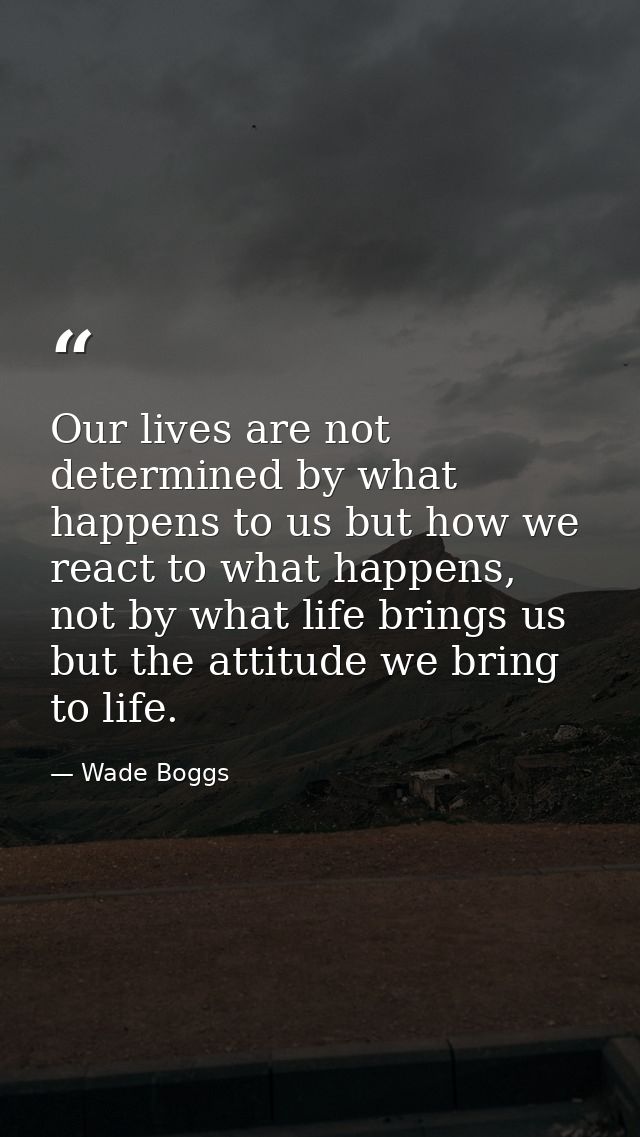 Our lives are not determined by what happens to us but how we react to what happens, not by what life brings us but the  — Wade Boggs