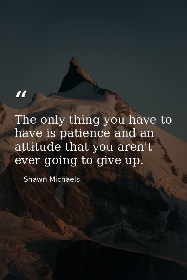 The only thing you have to have is patience and an attitude that you aren't ever going to give up. — Shawn Michaels