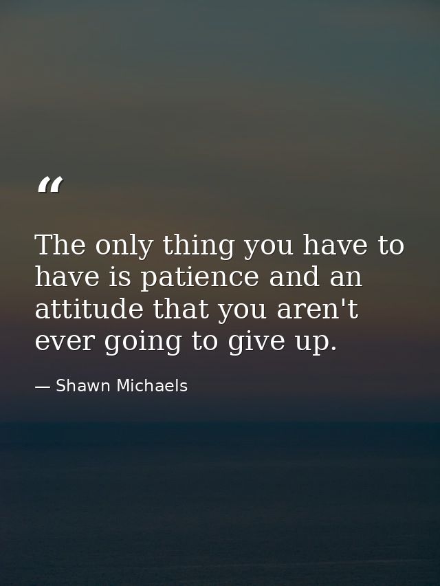 The only thing you have to have is patience and an attitude that you aren't ever going to give up. — Shawn Michaels