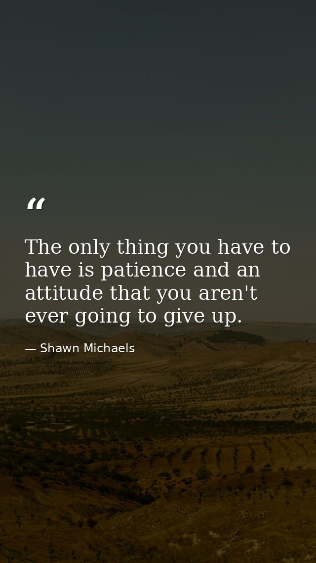 The only thing you have to have is patience and an attitude that you aren't ever going to give up. — Shawn Michaels