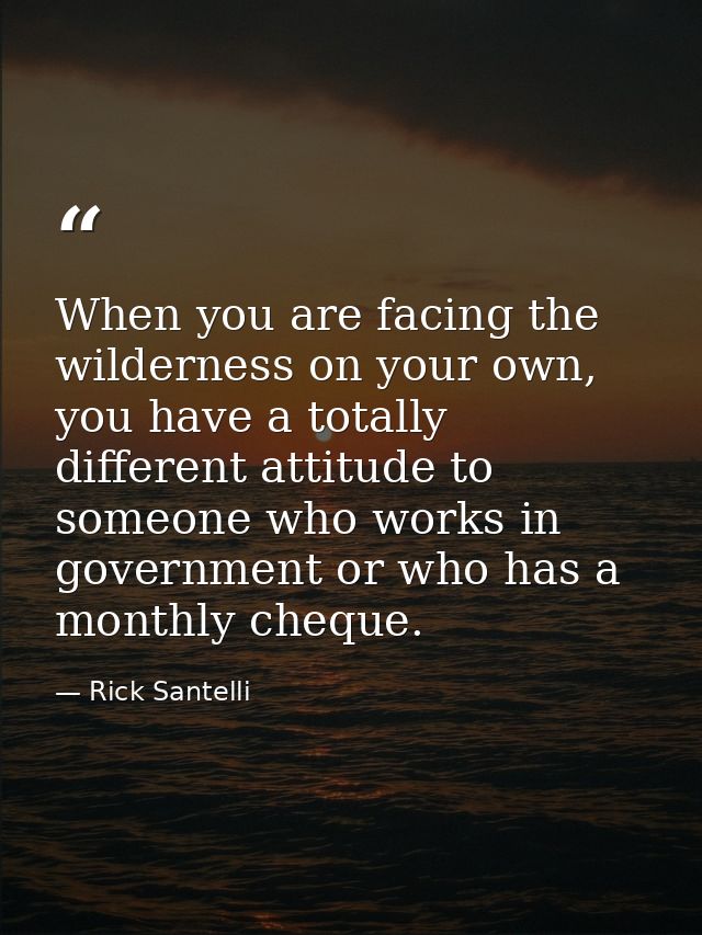 When you are facing the wilderness on your own, you have a totally different attitude to someone who works in government — Rick Santelli