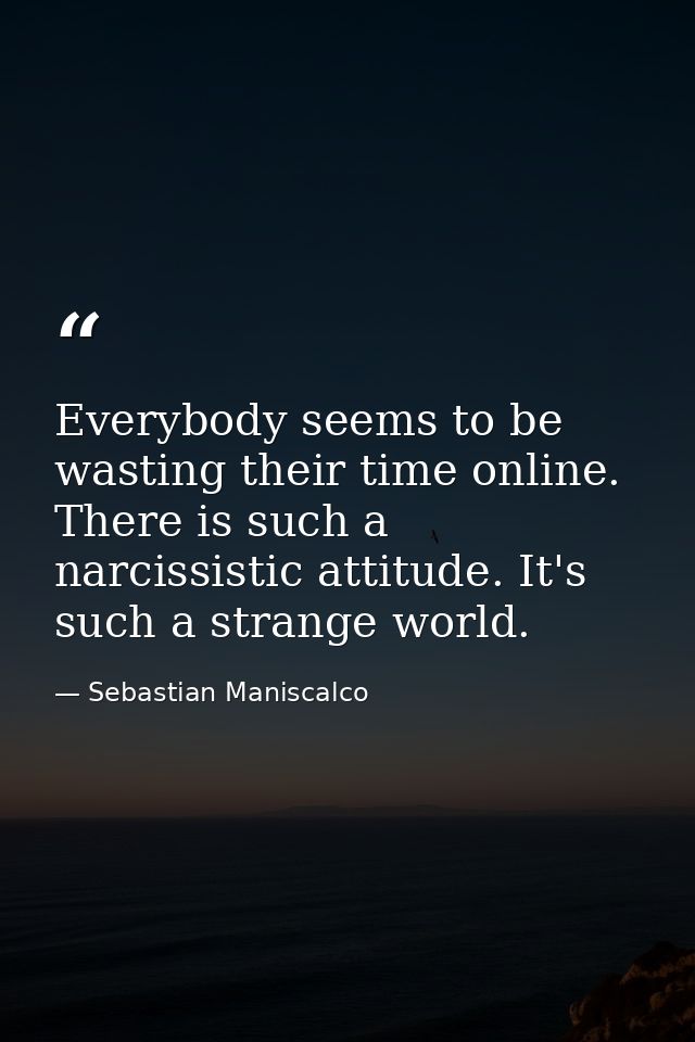 Everybody seems to be wasting their time online. There is such a narcissistic attitude. It's such a strange world. — Sebastian Maniscalco