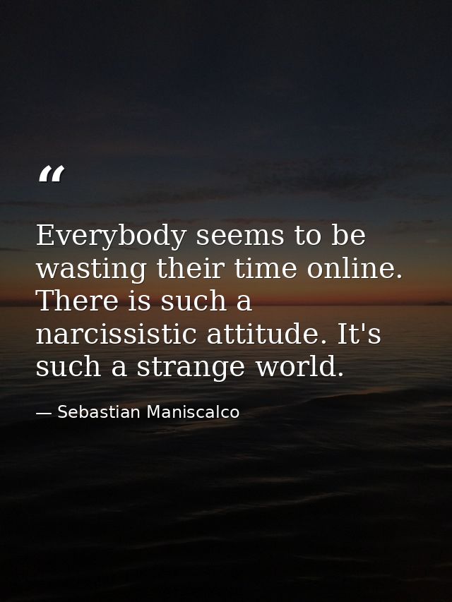 Everybody seems to be wasting their time online. There is such a narcissistic attitude. It's such a strange world. — Sebastian Maniscalco