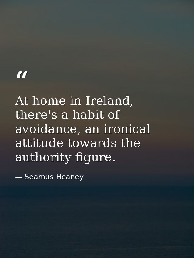 At home in Ireland, there's a habit of avoidance, an ironical attitude towards the authority figure. — Seamus Heaney