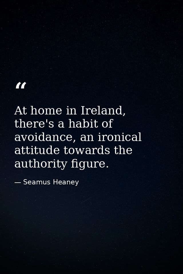 At home in Ireland, there's a habit of avoidance, an ironical attitude towards the authority figure. — Seamus Heaney