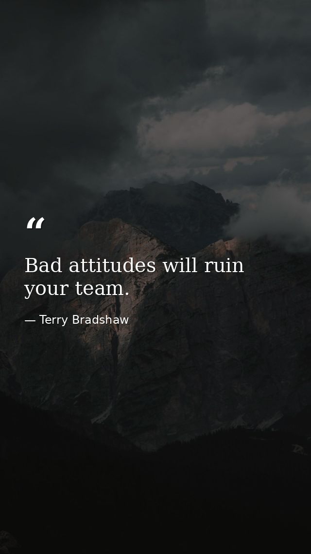 Bad attitudes will ruin your team. — Terry Bradshaw