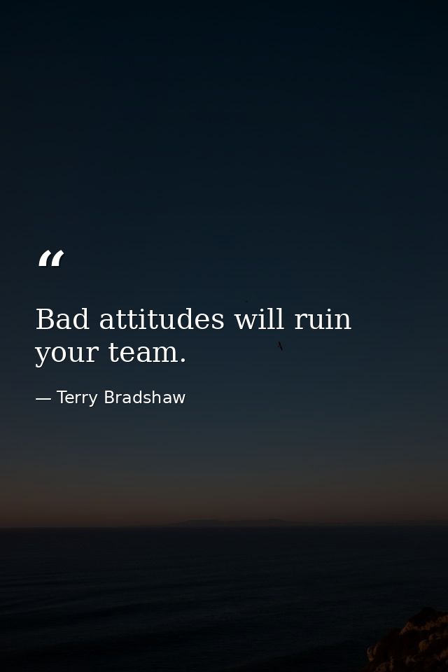Bad attitudes will ruin your team. — Terry Bradshaw