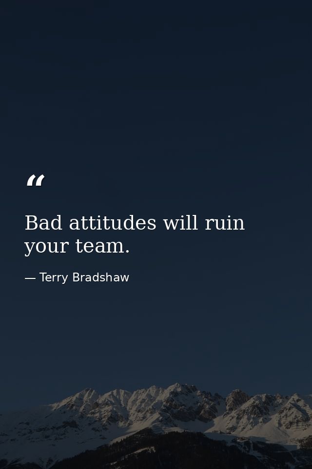 Bad attitudes will ruin your team. — Terry Bradshaw
