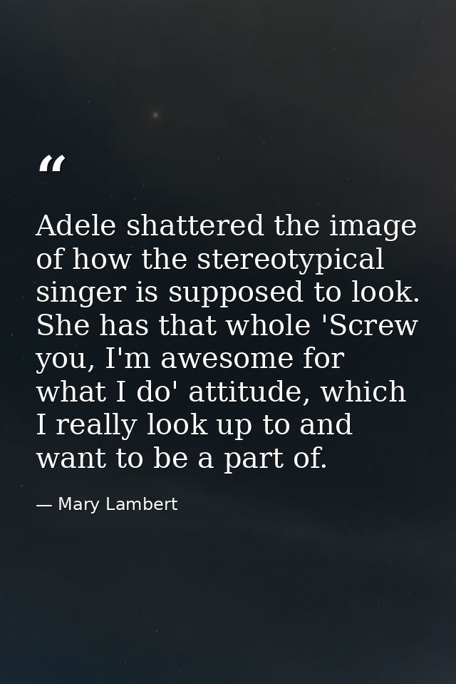 Adele shattered the image of how the stereotypical singer is supposed to look. She has that whole 'Screw you, I'm awesom — Mary Lambert