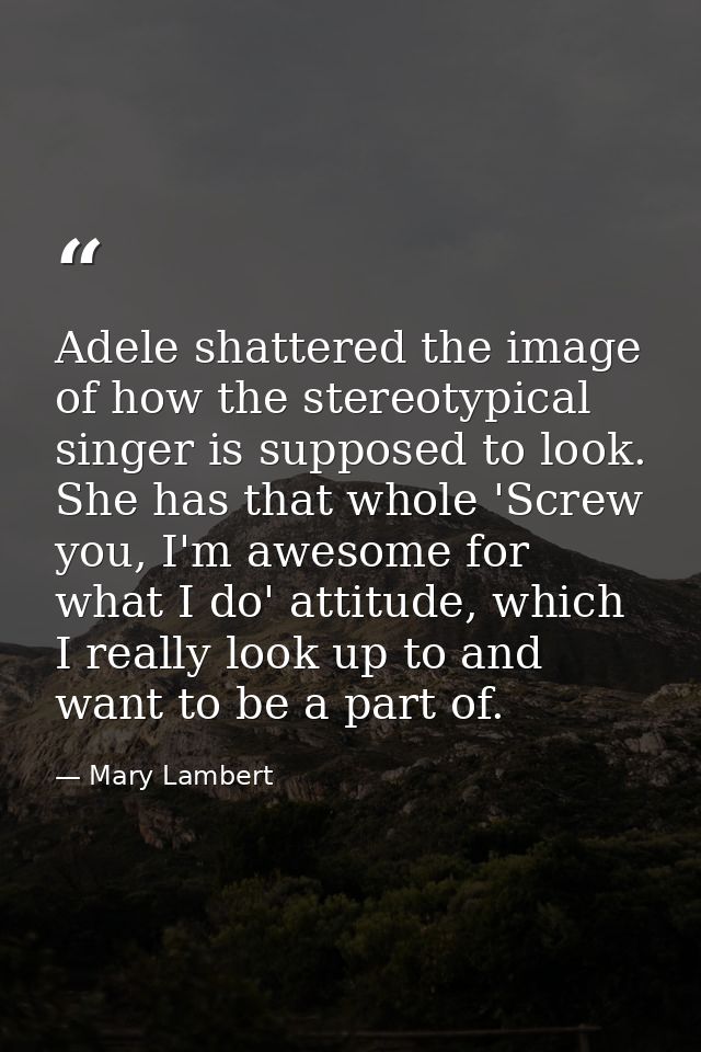 Adele shattered the image of how the stereotypical singer is supposed to look. She has that whole 'Screw you, I'm awesom — Mary Lambert