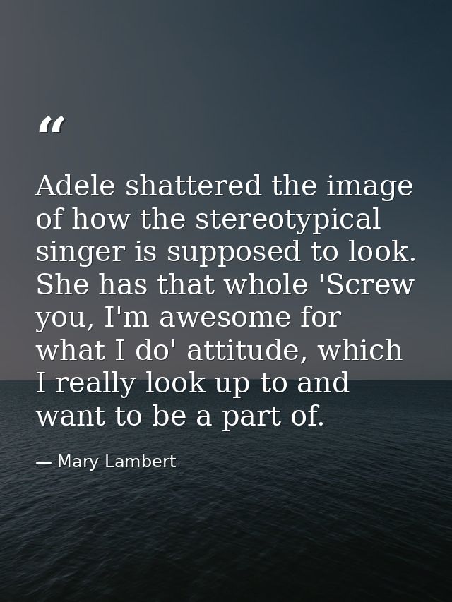 Adele shattered the image of how the stereotypical singer is supposed to look. She has that whole 'Screw you, I'm awesom — Mary Lambert