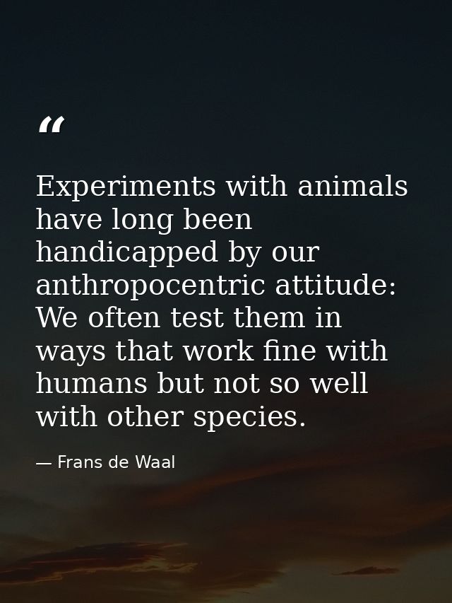 Experiments with animals have long been handicapped by our anthropocentric attitude: We often test them in ways that wor — Frans de Waal