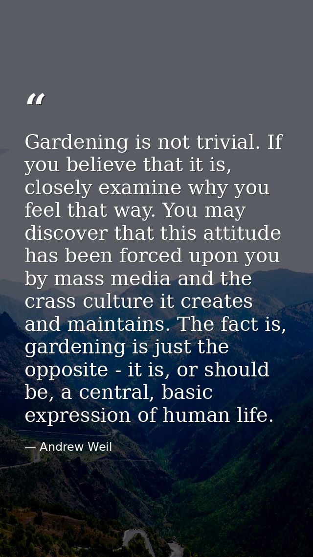 Gardening is not trivial. If you believe that it is, closely examine why you feel that way. You may discover that this a — Andrew Weil